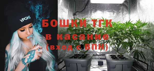 ГАЛЛЮЦИНОГЕННЫЕ ГРИБЫ Алексин