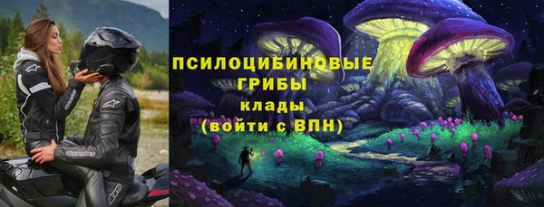 соль курить ск Алексеевка