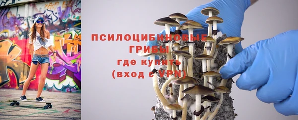 соль курить ск Алексеевка